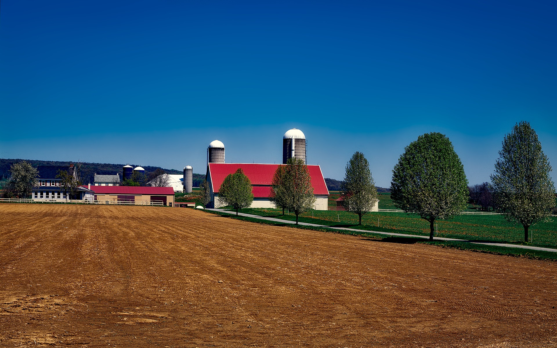 Amish Farm Lands